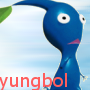 yungbol